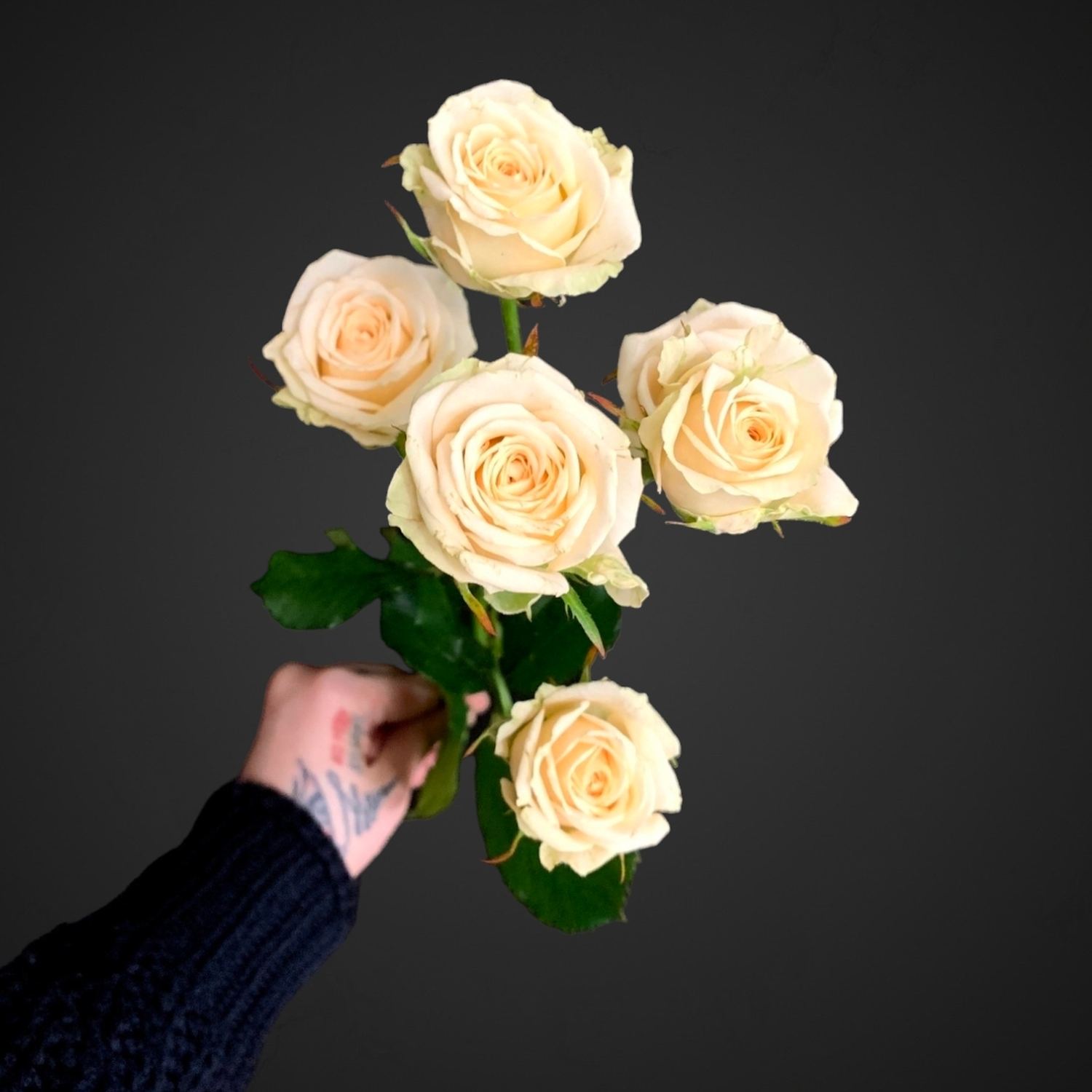 Роза Спрей Яна (кремовая)